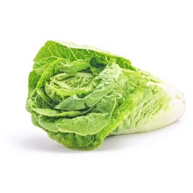 Lechuga costina a domicilio