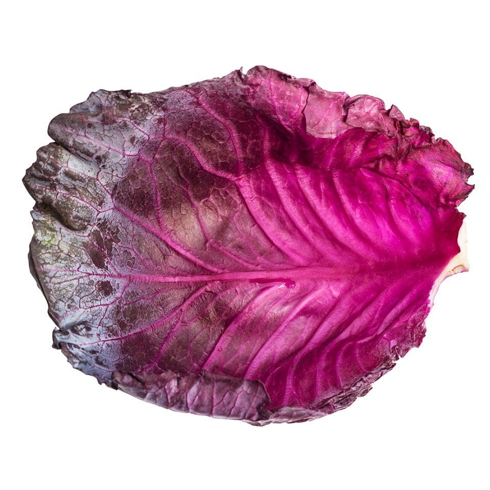 Repollo morado a domicilio